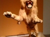 lion-front