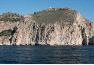 LHR CerroG Reef