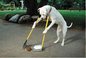 ALM Crapping Dog 02