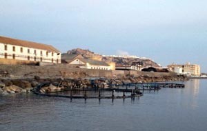 SAL fishfarm