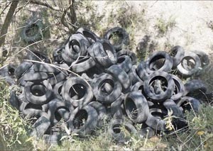 LHR Illegal Tyre Dump OnL