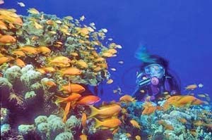 lhr-underwater-photography-onl