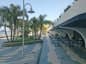 ALM Paseo Morning 2 MY17 copy