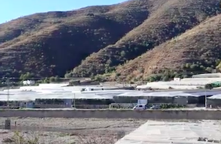 ECO Abuñol Problem