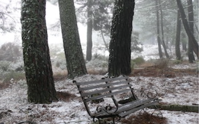 PP Los Prados with Snow