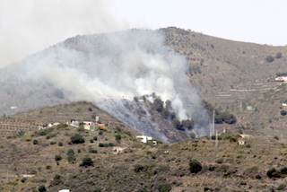 ALM Taramay Brush Fire
