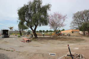 MOT New Green Area
