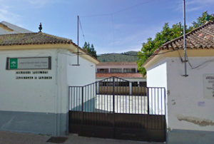 MOT Velez Benaudalla Junior School