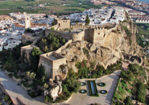 SAL Castle Birdseye