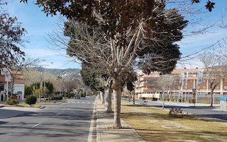 SAL avenida-andalucia