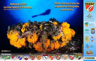 LHR Underwater Photography Competition