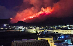 AND Berja Castala Hill Fire JA21