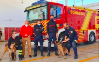 ALM Sniffer Dogs 01
