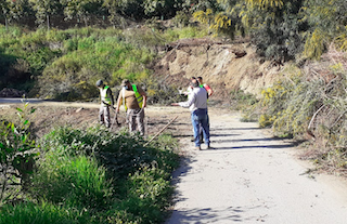 SAL Camino del Camino Vegetation Clearing