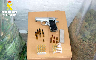 ALM Arrest & Illegal Gun 17AP21