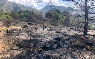 AXA Maro Watchtower Fire