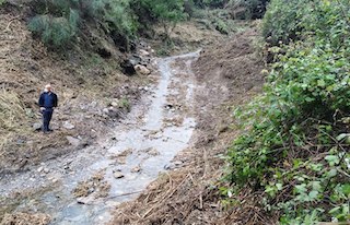 LHR Clearing Vegetation for Rio Jate