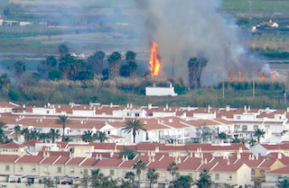 SAL Palm Tree Fire 04AP21