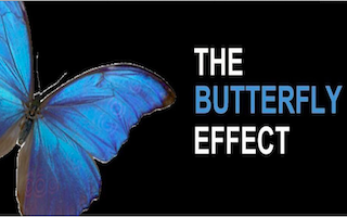 AND Butterfly Effect
