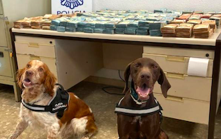 AND A Nose for Money