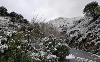 ALM Peña Escrita Snow Fall