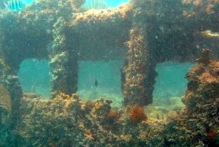 ECO Sunken Galley Underwater Park