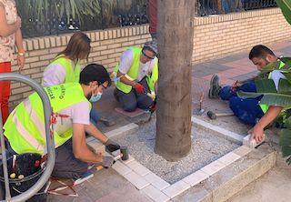 ALM JARDINERAS AVENIDA EUROPA 21
