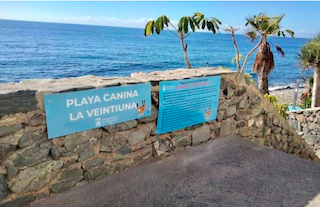 ALM Playa Canina Veintiuna 21