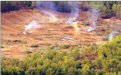 LHR Pinewood Cut Down