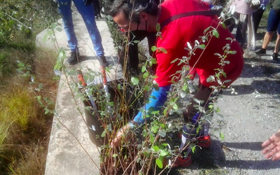 SAL Tree Planting along River