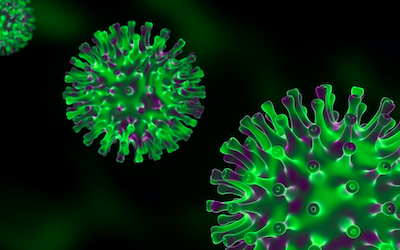 SPN Omicron Virus Representation