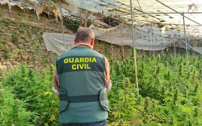 ECO Cannabis in Mamola Greenhouses 400x250 MY22