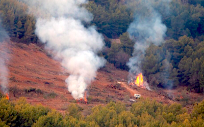 LHR Pines cut down on Cerro Gordo
