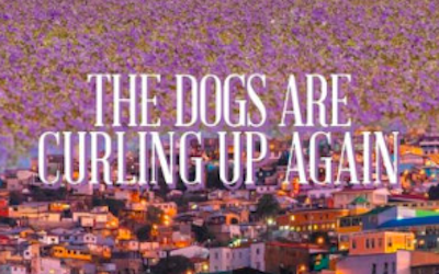 Book: The Dogs are Curling Up Again