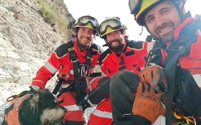 GRA Dilar Dog Rescued