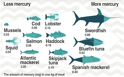 SPN Different Fish with Mercury Content