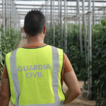 ECO Guardia Civil inspect Greenhouse