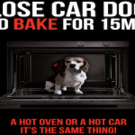 AND Dog Dies in Locked Car 02