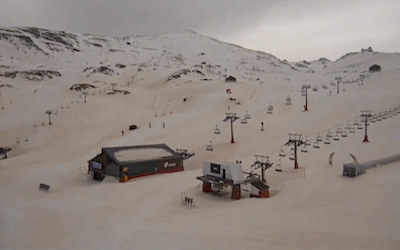 GRA B SN Calima Tints Snow 23MR24